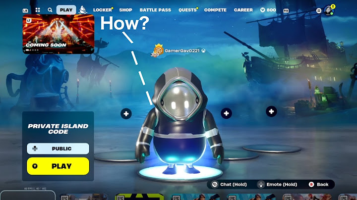 How to get the Fall Guys Skins in the Lobby and how to Use Them in Game