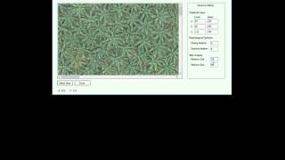 Oil Palm Tree Calculator screenshot 3