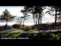 4K Drone Año Nuevo State Park and HWY 1 - California, USA