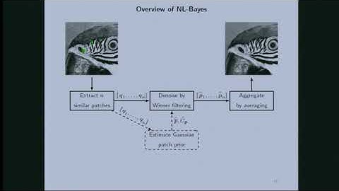 VMVW02 | Prof. Mila Nikolova | Below the Surface of the Non-Local Bayesian Image Denoising Method