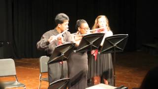 Carol of the Bells - Flute Trio - Mykola Leontovych, Barlow Bradford