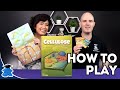 Cellulose  a plant cell biology game  how to play playing and learning about plants