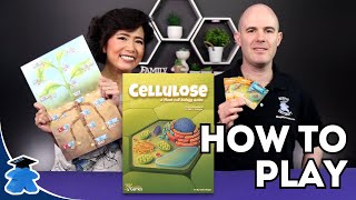 Cellulose : A Plant Cell Biology Game - How to play playing and learning about plants