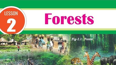 Forests|| 7th social|| English medium#forests#climatic