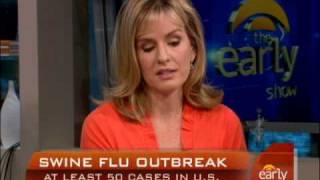 Swine Flu Reality Check
