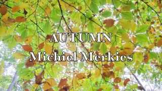 AUTUMN - Michiel Merkies