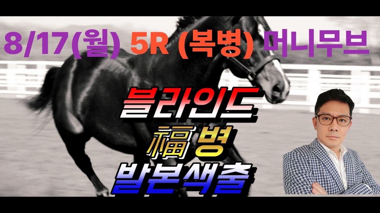 고배당 경마는 역시 손혁 경마 8/17(월)서울 복병마 내용을 확인해 보세요!!