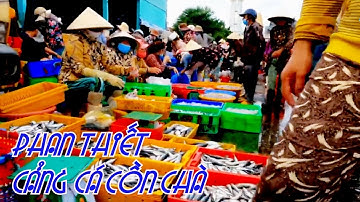 [FULL HD]PHAN THIẾT CẢNG CÁ CỒN CHÀ HÔM NAY