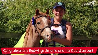 Redwings Smartie dons his running hooves!
