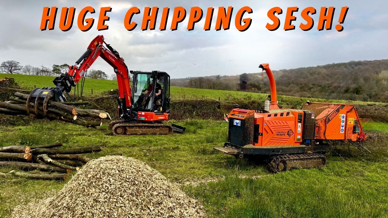 Измельчение 200 метров смешанной живой изгороди с помощью измельчителя TimberWolf 8 дюймов!
