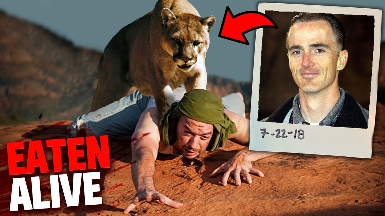 This Mountain Lion Eats Mark Reynolds Alive! (Animals Gone WRONG)
