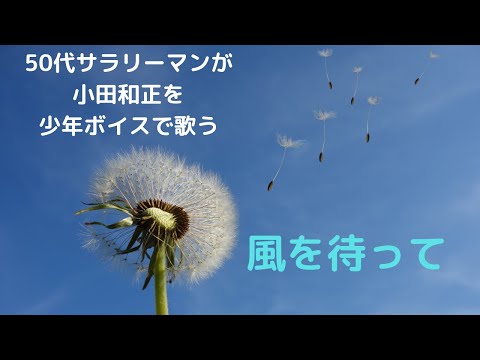 風を待って　歌ってみたよ