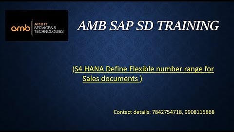 SAP SD || S4 HANA || Define Flexible number range for Sales documents