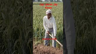 mehnatkash Kisan lekhraj Verma #शॉर्ट video agriculture