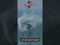 Power Carve On a #RIKT Flat Top 33 Kick Tail With Chris Ward #Surfing