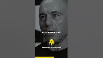 Learn from your mistakes - Joe Rogan