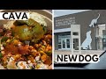 TRYING CAVA FOR THE FIRST TIME | GETTING A NEW DOG???