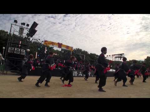 近畿大学よさこい連 洗心　こいや祭り２０１５　メイン会場