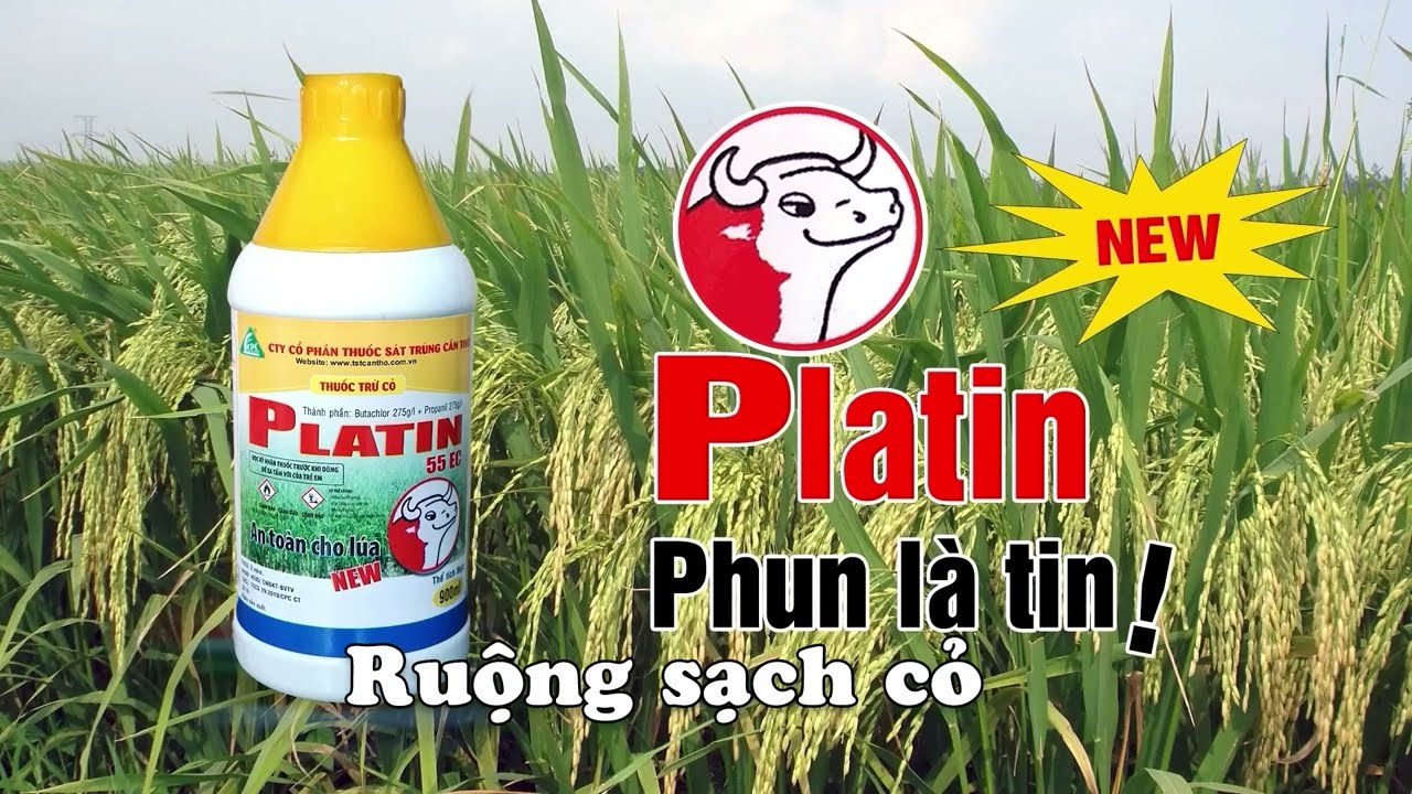 Thuốc trừ cỏ PLATIN 55EC NEW _ Phun là tin _ Ruộng Sạch Cỏ