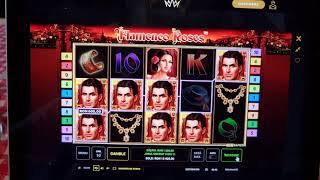 Flamenco Roses, bet 30, Bigwin screenshot 4