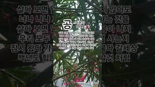 공  #나훈아#트로트#1999나훈아인생곡ㆍ최고히트인기애창곡
