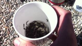 Brewing Tea for Class or Work