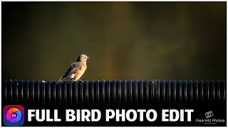Bird photo editing tutorial in ON1 2023 screenshot 5