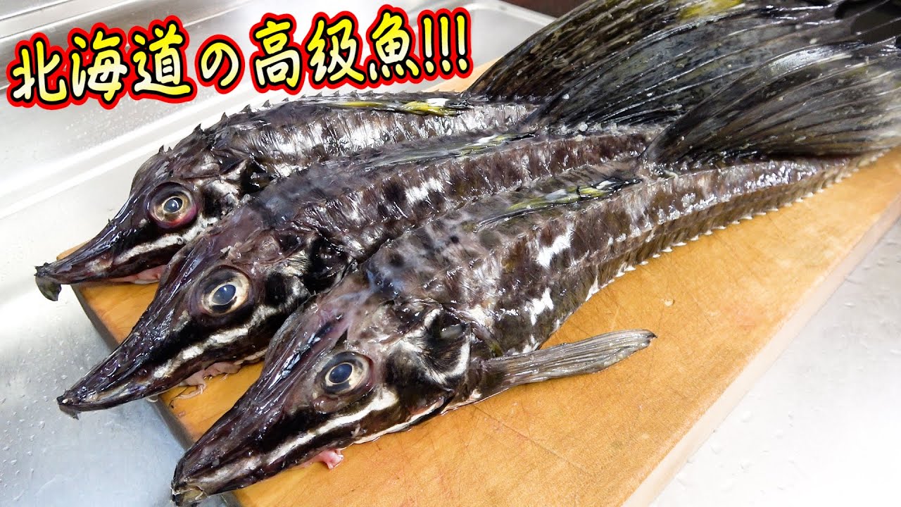 Is this a fish?! We tried butchering this high-quality fish that