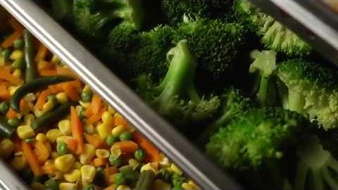 Vulcan® LWE Convection Steamer | Reduce Water Usage and Save Energy with This a La Carte Steamer