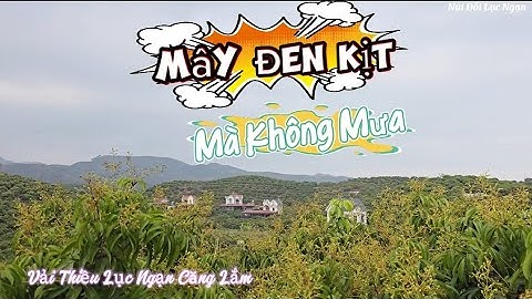 VẢI THIỀU LỤC NGẠN CHỜ LẮM MỘT CƠN MƯA I NÚI ĐỒI LỤC NGẠN