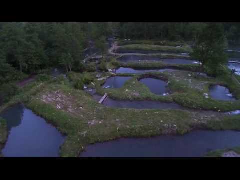 ქულბაქი 2017