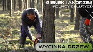 Wycinka drzew u Gienka i Andrzeja Rolników z Podlasia