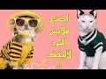 كيف تصنع ملابس لقطك أو كلبك بكل سهولة How To Make Clothes For Your Cat Or Dog Easily 