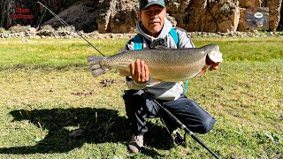 Trucha gigante. || Giant trout fishing.