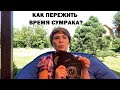 Как пережить время «сумрака»?