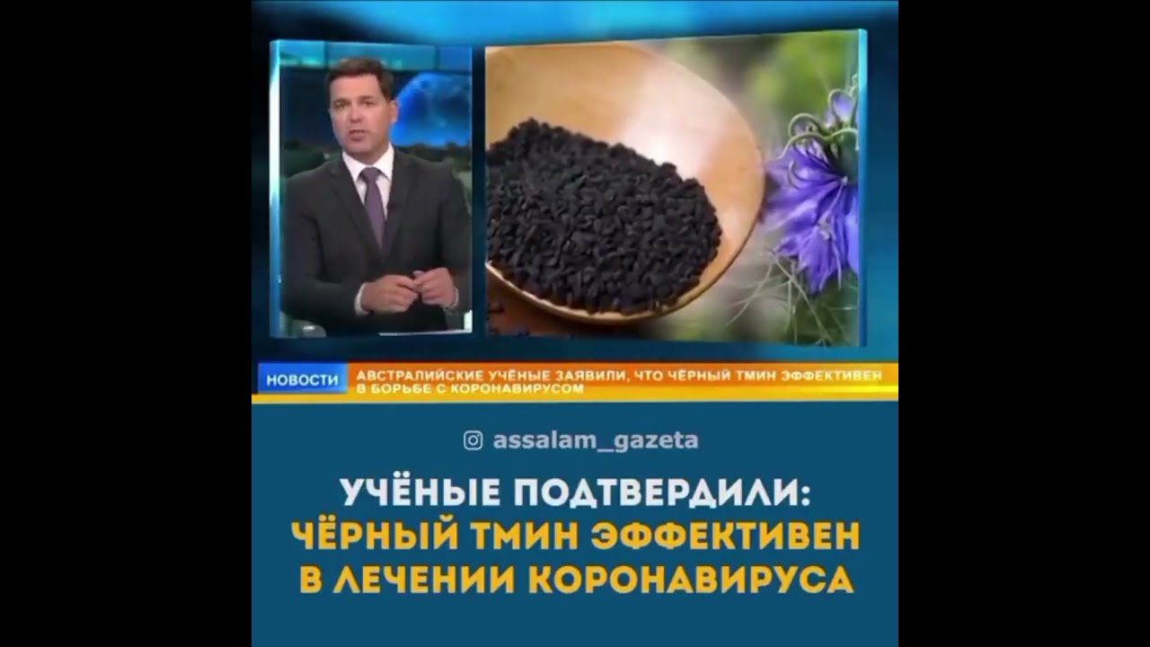 О ЧЁРНОМ ТМИНЕ В  НОВОСТЯХ