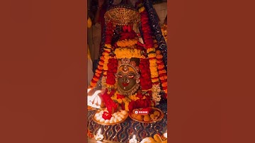 Shankar Shiv Bhole Umapati Mahadev🙏🏼 |  #bholenath #mahadev #mahakal #shiv #shorts #livedarshan