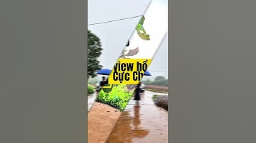 Cực Hiếm ! 1 lô Duy nhất view săn mây Giá đầu tư #haudatngoaiodalat #datnendautu #datvendalat