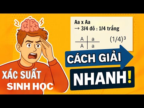 Video Phương pháp giải toán xác suất sinh học - YouTube