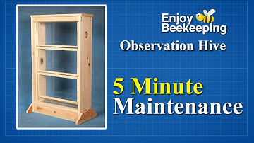 5 Minute Maintenance for the O-Hive