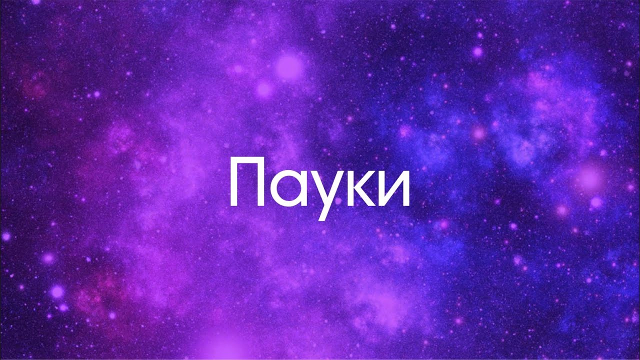 К чему снятся ПАУКИ. Видеть пауков во сне.