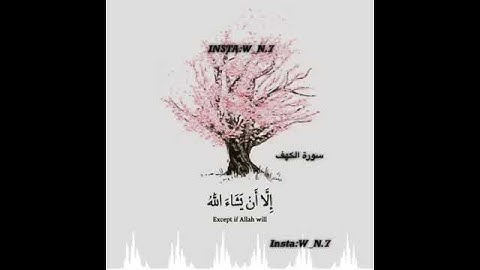 ما تيسر من سورة الكهف ناصر القطامي