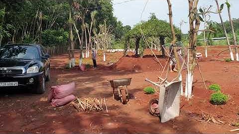 NVT974 CỰC HIẾM, lô đất đỏ bazan 9200m2 xã Long Phước, tp Bà Rịa cực ĐẸP