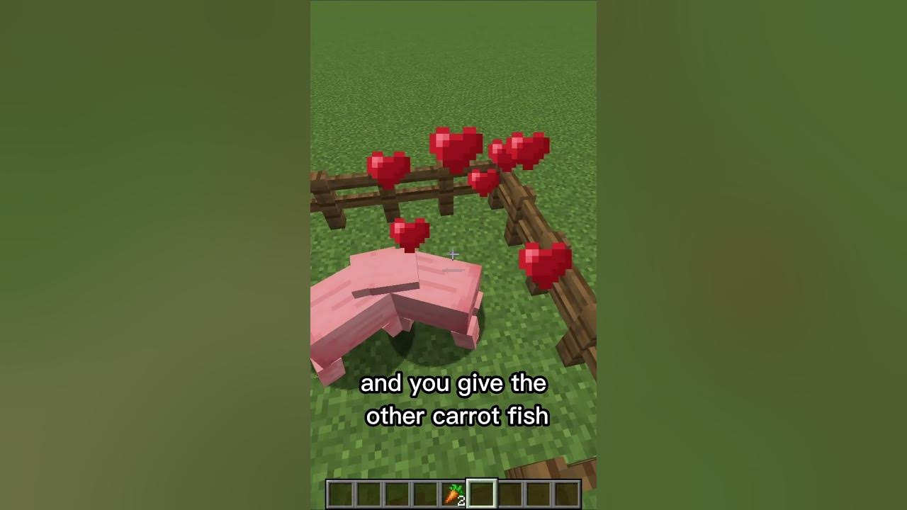 How to BREED Pigs in Minecraft shorts YouTube