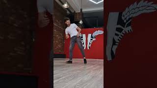 Bruce Lee Side Kick