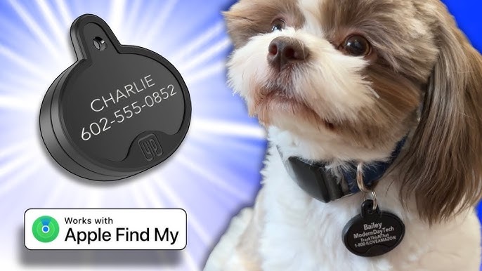 Ring Pet Tag  Help Your Missing Pet Make It Home Safe 