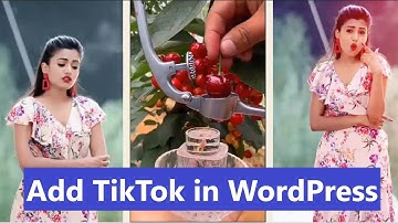 How to Embed TikTok Videos in WordPress by MC Starters