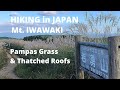 Hiking in Japan | Mt. Iwawaki - Pampas Grass &amp; Thatched Roofs