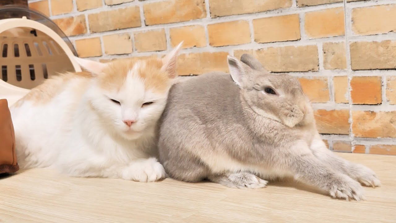 暇すぎて