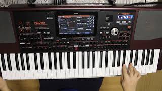 HAVA NASIL ORALARDA - KORG PA1000